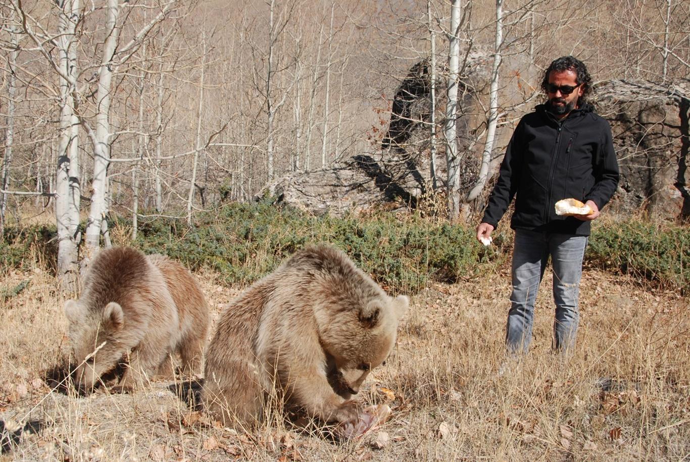 İnsanlar için tehlikeli hale gelen ayılar koruma altına alınmalı